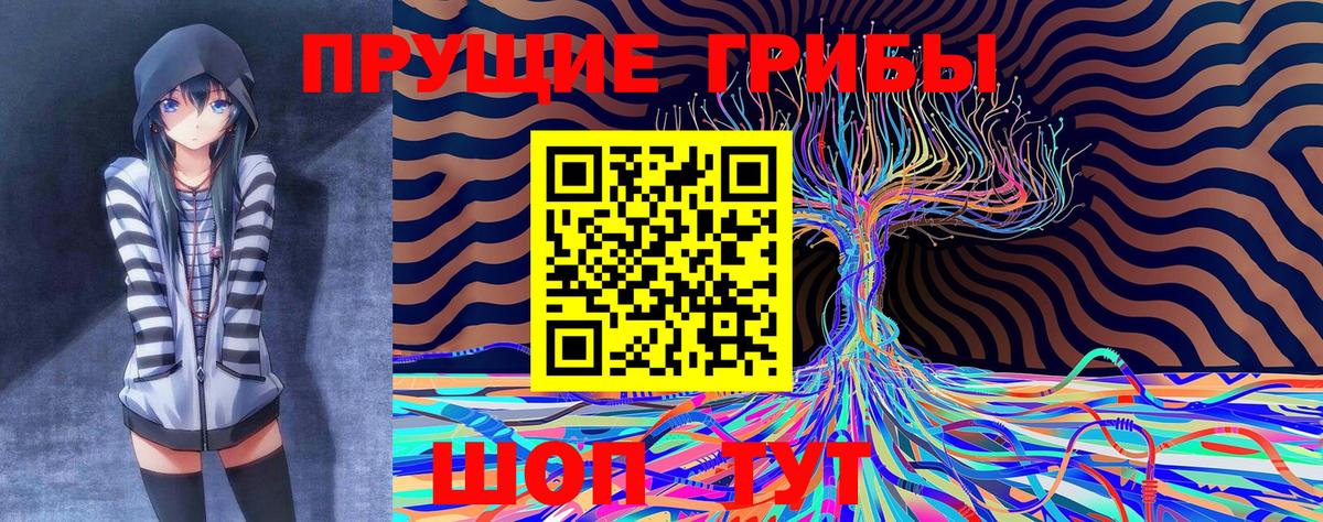 Псилоцибиновые грибы MAGIC MUSHROOMS  Вход с VPN  Арзамас 