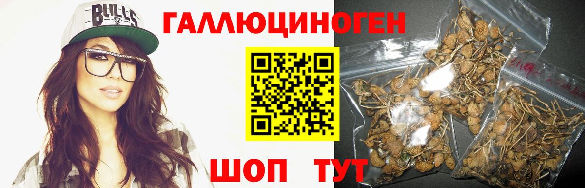 Псилоцибиновые грибы MAGIC MUSHROOMS Арзамас